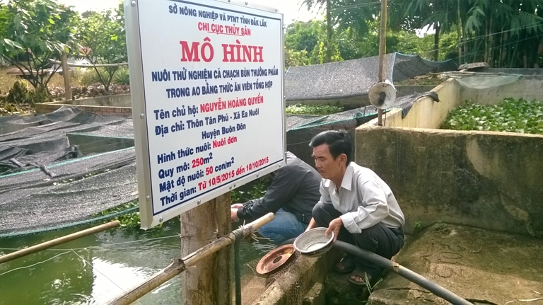 &Ocirc;ng Nguyễn Ho&agrave;ng Quyền (&aacute;o trắng) cho c&aacute; ăn