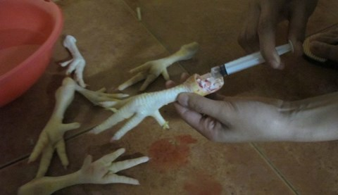 Bơm nước v&agrave;o ch&acirc;n g&agrave; để tăng trọng lượng