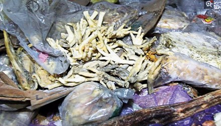 Thực phẩm bẩn, ch&acirc;n g&agrave; thối được lưu giữ hơn 40 năm