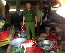 Lực lượng chức năng kiểm tra cơ sở giết mổ gia cầm