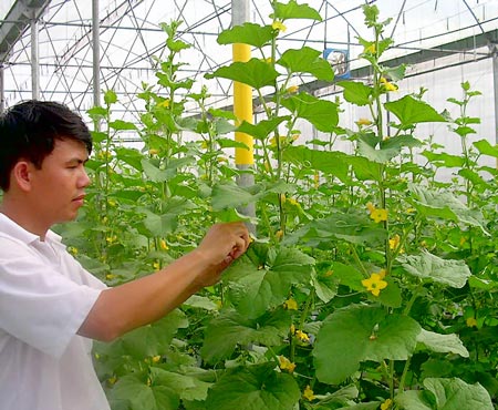Gần 23 tỷ đồng ph&aacute;t triển hạ tầng khu n&ocirc;ng nghiệp ứng dụng c&ocirc;ng nghệ cao ở Ph&uacute; Y&ecirc;n