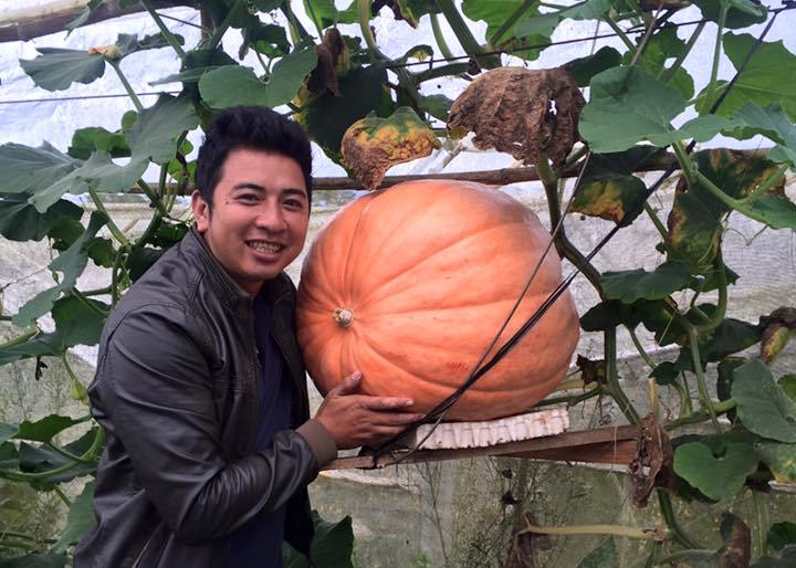 Halloween 2016: tranh nhau mua b&iacute; ng&ocirc; khổng lồ gi&aacute; 5 triệu đồng/quả tại Đ&agrave; Lạt