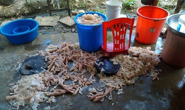 Một cảnh trong xưởng chế biến nem chua, đặc sản Thanh H&oacute;a