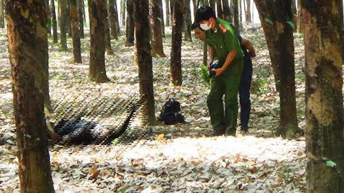 Hiện trường nơi ph&aacute;t hiện thi thể chết ch&aacute;y