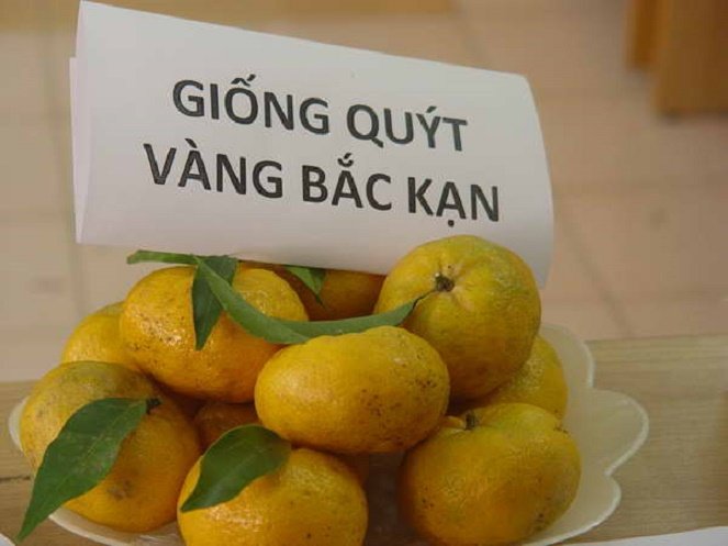 L&yacute; do ch&iacute;nh khiến chỉ dẫn địa l&yacute; kh&ocirc;ng được chuyển nhượng, chuyển giao l&agrave; bởi chủ sở hữu của chỉ dẫn địa l&yacute; l&agrave; Nh&agrave; nước