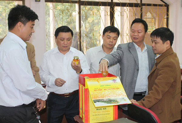 Chỉ dẫn địa l&yacute; đ&atilde; gi&uacute;p sản phẩm mật ong m&egrave;o vạc ph&aacute;t triển bền vững
