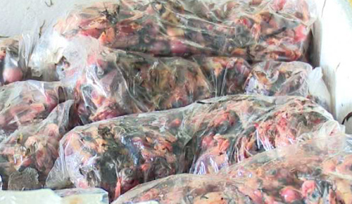 Hơn 3 tạ chim &eacute;n h&ocirc;i thối từ miền Nam ra Nghệ An ti&ecirc;u thụ