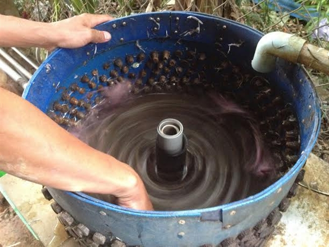 Cận cảnh c&ocirc;ng nghệ h&ocirc; biến chim c&uacute;t non th&agrave;nh chim sẻ