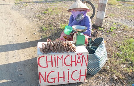 Chim rừng đặc sản được bày bán ngay b&ecirc;n l&ecirc;̀ đường bụi b&acirc;̉n