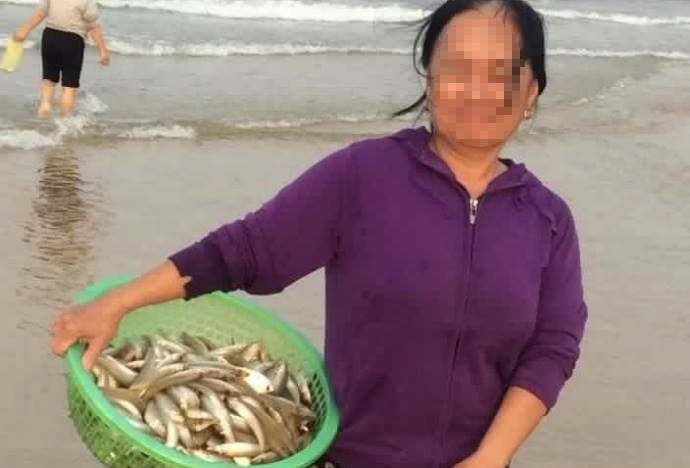 Thấy cá chết hàng loạt, người dân đổ xô ra bãi Đá Nhảy vớt để bán lại cho thương lái Thấy cá chết hàng loạt, người dân đổ xô ra bãi Đá Nhảy vớt để bán lại cho thương lái
