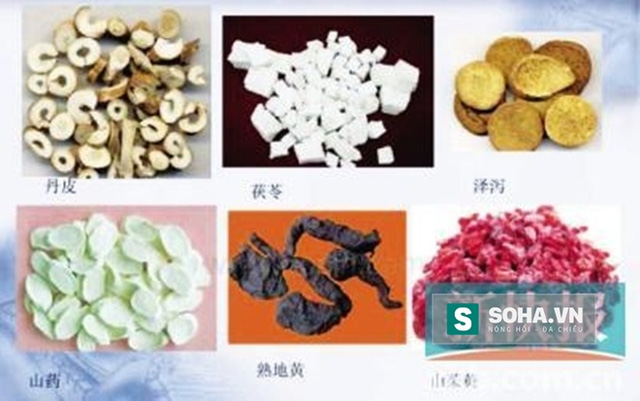 Kh&ocirc;ng ít người coi &lsquo;Lục Vị Địa Hoàng&rsquo; là ti&ecirc;n đan chữa khỏi mọi bệnh tật
