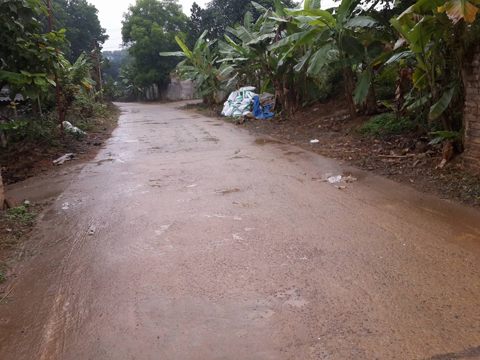 Đường v&agrave;o nh&agrave; vợ chồng Th&agrave;nh