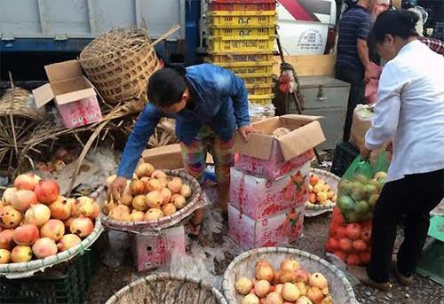 Nhờ bu&ocirc;n hoa quả Trung Quốc m&agrave; nhiều người kiếm được tiền tỷ, x&acirc;y được nh&agrave; lầu