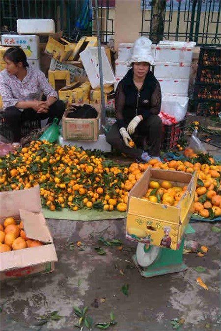 Nhưng ch&iacute;nh những người bu&ocirc;n tr&aacute;i c&acirc;y Trung Quốc cũng phải r&ugrave;ng m&igrave;nh v&igrave; độ độc hại của mặt h&agrave;ng n&agrave;y