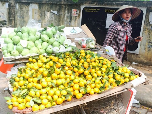 Độc hại l&agrave; thế những cứ đến dịp gần Tết l&agrave; hoa quả Trung Quốc lại tr&agrave;n ngập thị trường