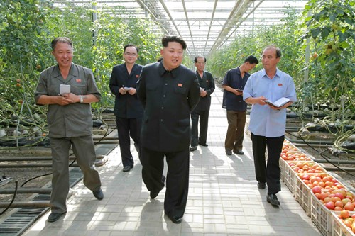 Vườn rau của gia đ&igrave;nh chủ tịch Triều Ti&ecirc;n Kim Jong Un