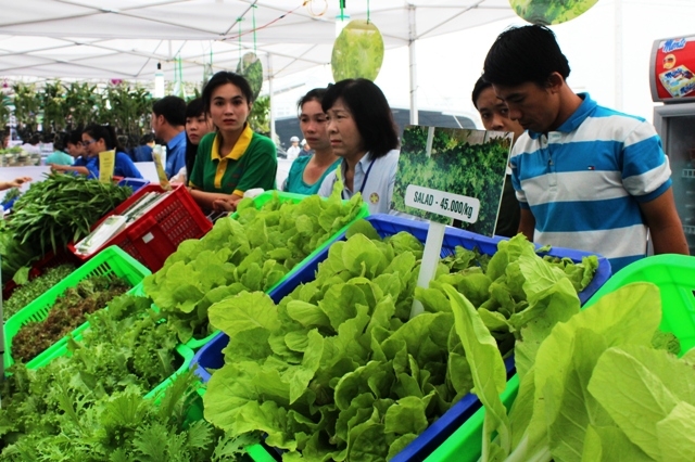 Nhân viên Công ty VinaCert chào bán chứng nhận VietGap