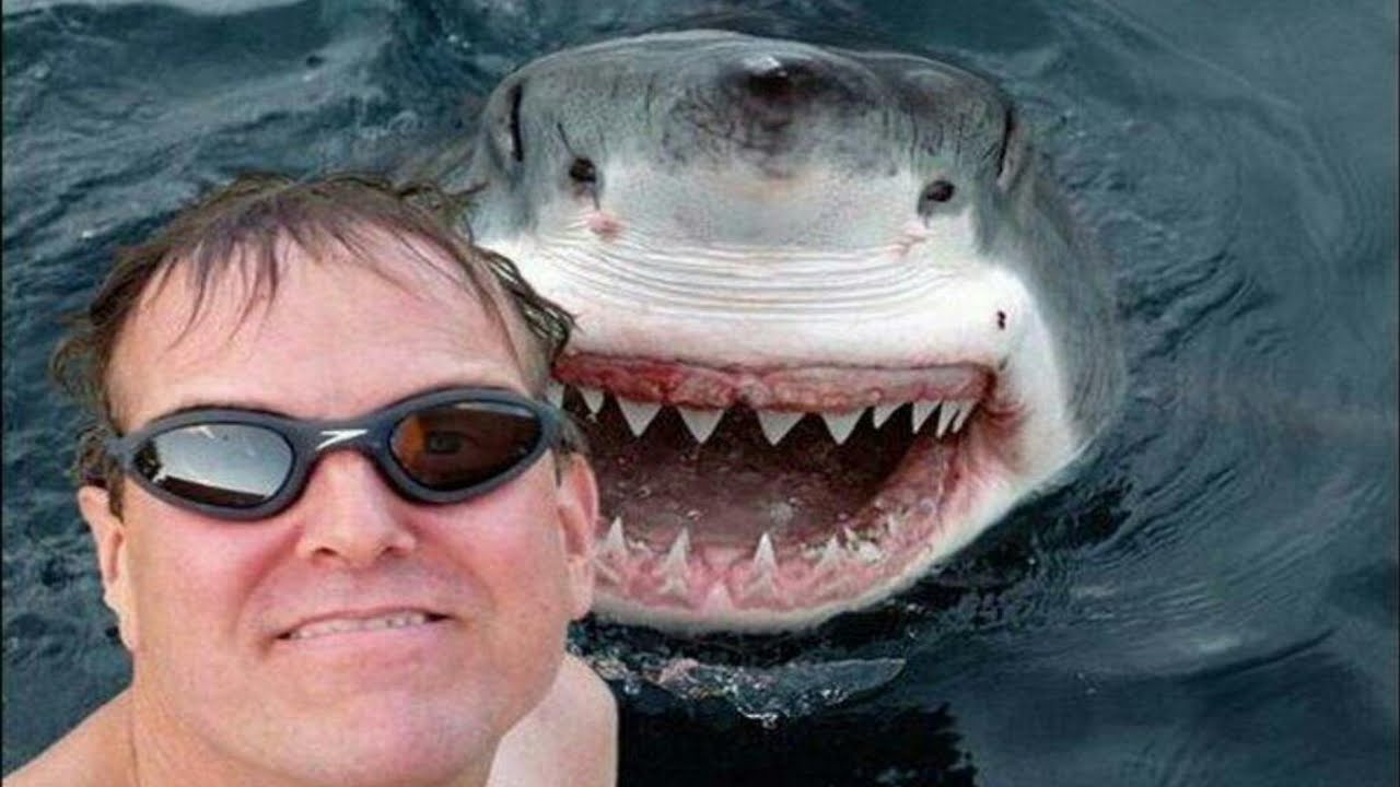 Đ&atilde; c&oacute; kh&ocirc;ng &iacute;t tai nạn thương t&acirc;m xảy ra chỉ v&igrave; mải m&ecirc; chụp ảnh selfie