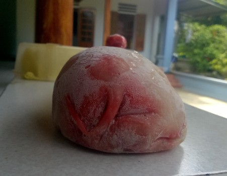 Tuy nhi&ecirc;n, phần đu&ocirc;i của &lsquo;qu&aacute;i th&uacute;&rsquo; trong c&acirc;u chuyện lạ lợn đẻ ra g&agrave; vẫn mang d&aacute;ng dấp như những anh chị em b&igrave;nh thường của n&oacute;