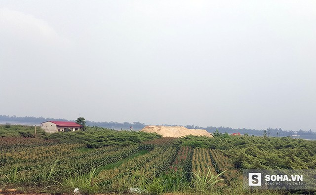 Những bến b&atilde;i mọc l&ecirc;n như nấm sau mưa tr&ecirc;n b&atilde;i s&ocirc;ng, x&acirc;m phạm nghi&ecirc;m trọng h&agrave;nh lang tho&aacute;t lũ v&agrave; đang 'đ&egrave;' l&ecirc;n ph&aacute;p luật