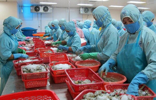 chế biến t&ocirc;m, gi&aacute;m s&aacute;t con t&ocirc;m, kiểm dịch động 13Win19 thể thao, đá gà, bắn cá, game bài, nổ hũ, dịch bệnh thủy sản