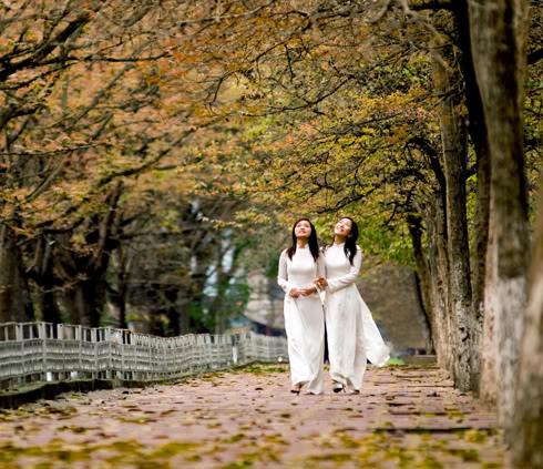 Những con đường đẹp nhất H&agrave; Nội