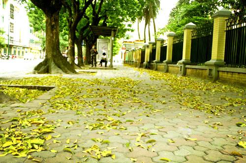 Những con đường đẹp nhất H&agrave; Nội