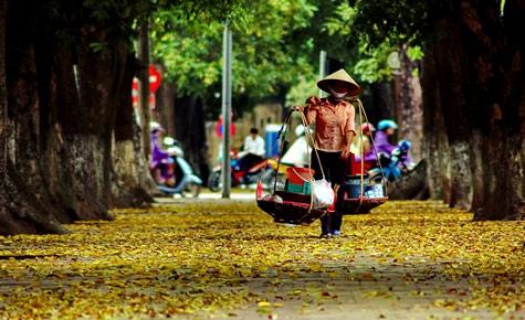 Những con đường đẹp nhất H&agrave; Nội