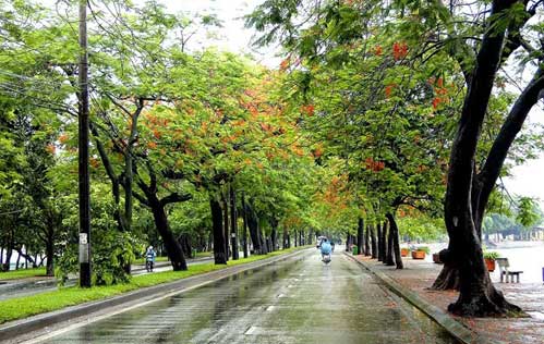 Những con đường đẹp nhất H&agrave; Nội