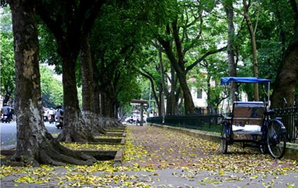 Những con đường đẹp nhất H&agrave; Nội