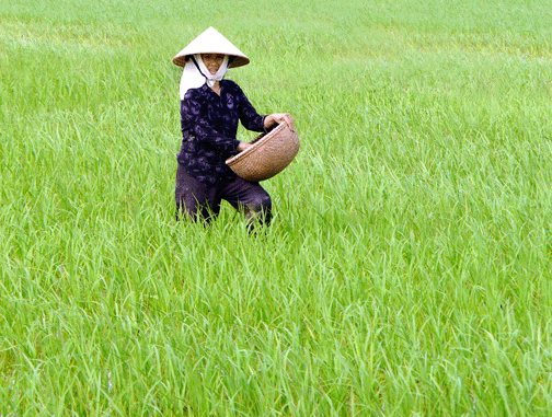 C&ocirc;ng an bắt 3 cán b&ocirc;̣ làm kh&ocirc;́ng h&ocirc;̀ sơ ph&acirc;n bón đ&ecirc;̉ ăn ti&ecirc;̀n
