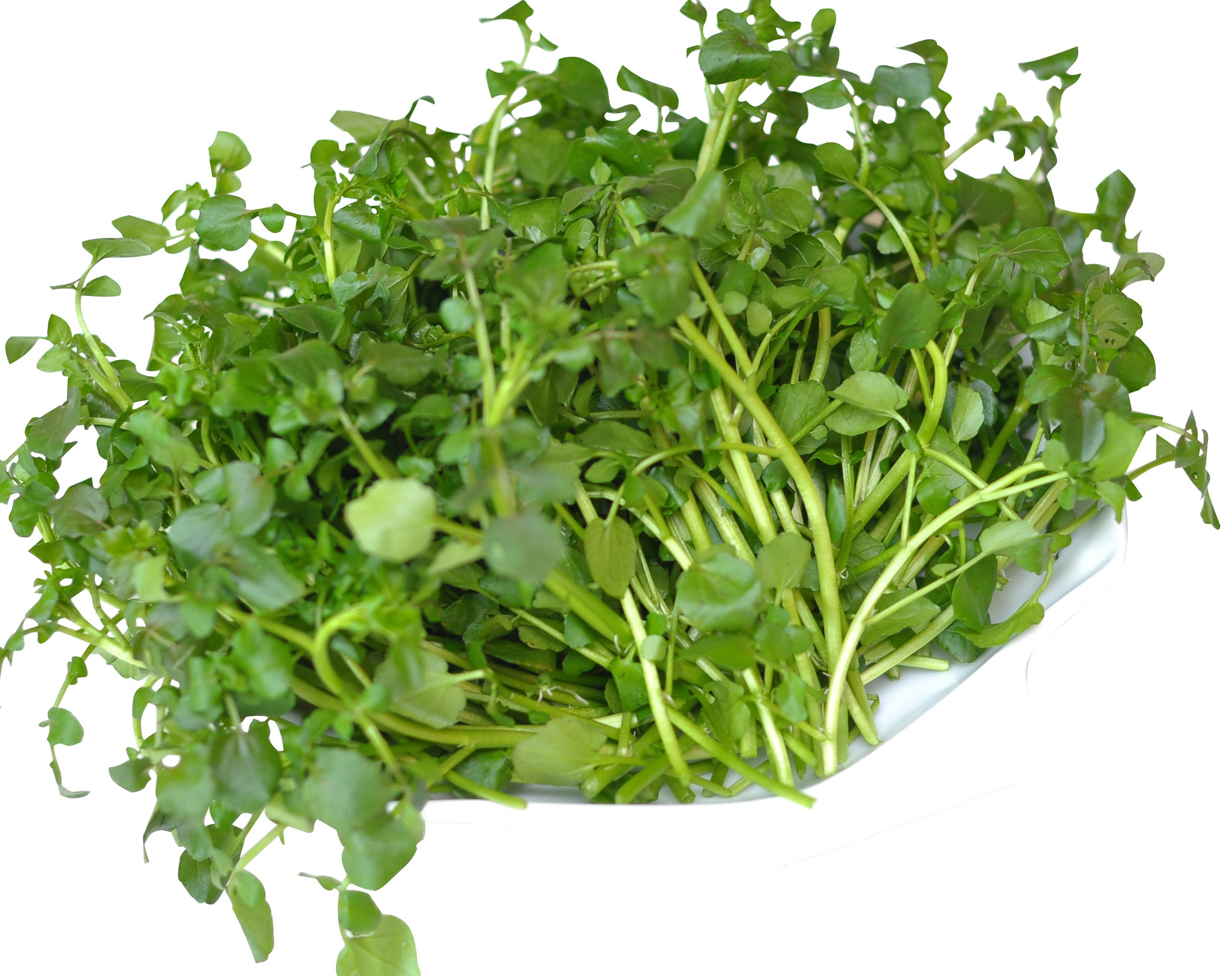 Mẹo vặt gia đ&igrave;nh lu&ocirc;n l&agrave; điều cần thiết trong cuộc sống