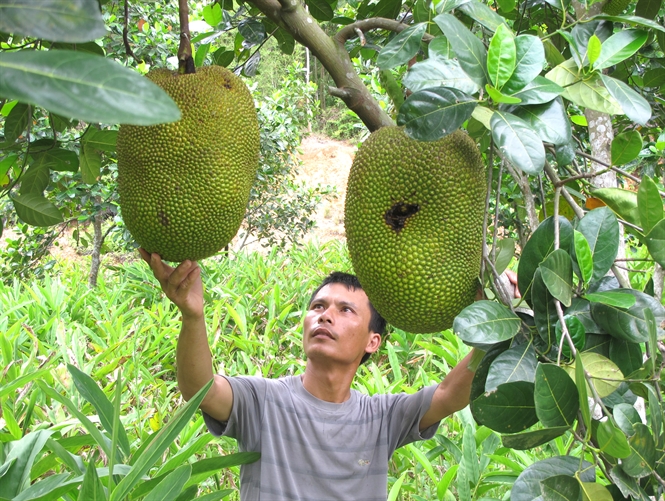 Sức khỏe gia đ&igrave;nh l&agrave; vấn đề được nhiều người quan t&acirc;m trong cuộc sống h&agrave;ng ng&agrave;y