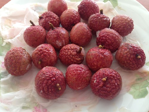 Dự &aacute;n nghi&ecirc;n cứu quy tr&igrave;nh bảo quản vải thiều bằng c&ocirc;ng nghệ CAS của Nhật Bản