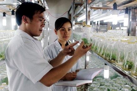 Ph&oacute; cục trưởng L&ecirc; Thị Kh&aacute;nh V&acirc;n