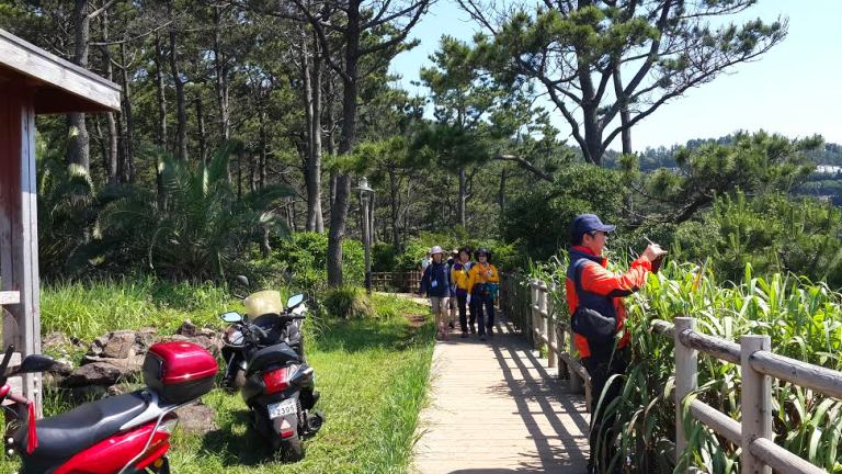 công viên trên đảo jeju hàn quốc công viên trên đảo jeju hàn quốc