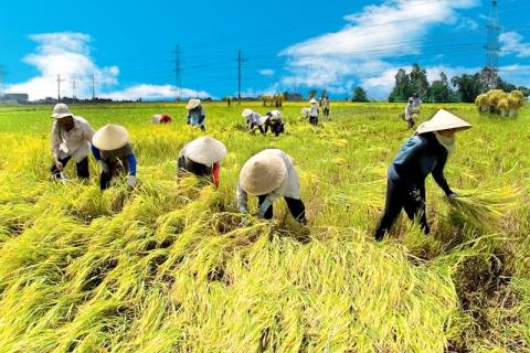 Người Việt cần c&ugrave;... nhưng kh&ocirc;ng s&aacute;ng tạo l&agrave; tự m&igrave;nh hại m&igrave;nh v&agrave; phải cất hết 