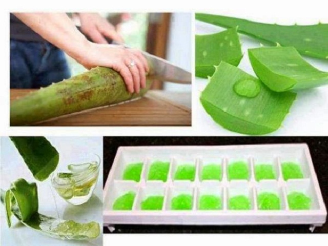 tác dụng tuyệt vời của cây nha đam