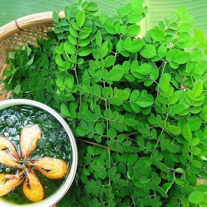 Ch&ugrave;m ng&acirc;y: Rau sạch bổ dưỡng gấp 4 lần c&agrave; rốt nhưng lại l&agrave; đại họa với mẹ bầu