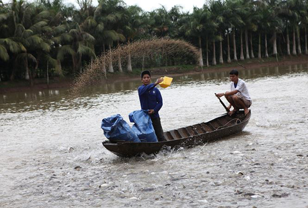 Thức ăn chăn nu&ocirc;i trộn 13Win21 con - Tri ân hội viên mỗi tháng 2000 tỷ c&ocirc;ng nghiệp được c&aacute;c hộ nu&ocirc;i trồng thủy hải sản sử dụng