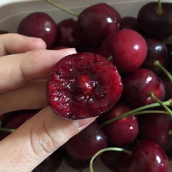 Anh Creme bị ngộ độc hạt cherry v&igrave; trong hạt n&agrave;y c&oacute; chứa chất amygdalin
