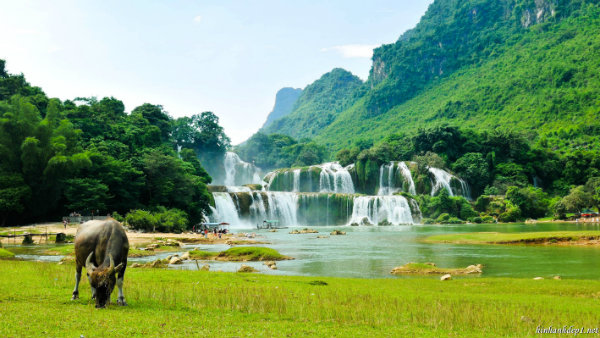 1. Phong cảnh tuyệt đẹp: Việt Nam không có nhiều những địa danh quá nổi tiếng như thác Niagara, Nhà hát Opera  ở Sydney hay Grand Canyons. Trái lại, đây thực sự là một viên ngọc “ẩn” mà chỉ những ai đặt chân đến mới có thể cảm nhận được. Việt Nam có rất nhiều những địa danh được UNESCO vinh danh bởi vẻ đẹp và sức sống mãnh liệt của mình như: Vịnh Hạ Long, động Phong Nha – Kẻ Bàng, phố cổ Hội An, Cù Lao Chàm…