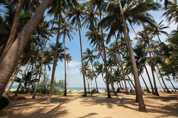 Đảo Tam Hải Quảng Nam &ndash; vẻ đẹp hoang sơ &iacute;t người biết đến - ảnh 2