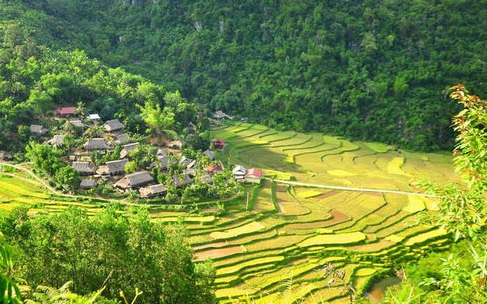 5 resort gần H&agrave; Nội &lsquo;l&agrave;m bạn&rsquo; với những c&aacute;nh đồng