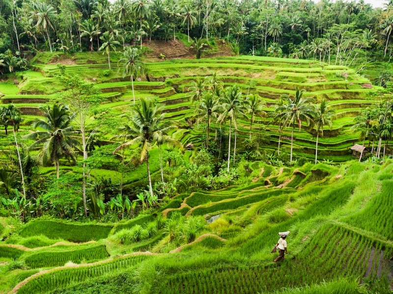 Việt Nam thuộc top 20 quốc gia du lịch được y&ecirc;u th&iacute;ch nhất
