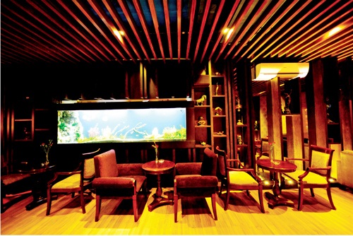 nhung-sao-viet-thanh-cong-trong-kinh-doanh-quan-cafe