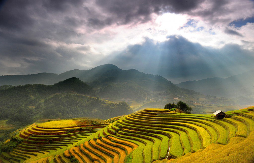 Bạn c&oacute; thể du lịch M&ugrave; Cang Chải theo c&aacute;c tour du lịch hoặc đi phượt bằng xe m&aacute;y.