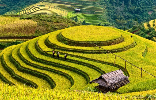 3 địa điểm du lịch m&ugrave;a thu tuyệt sắc ở n&uacute;i rừng miền Bắc