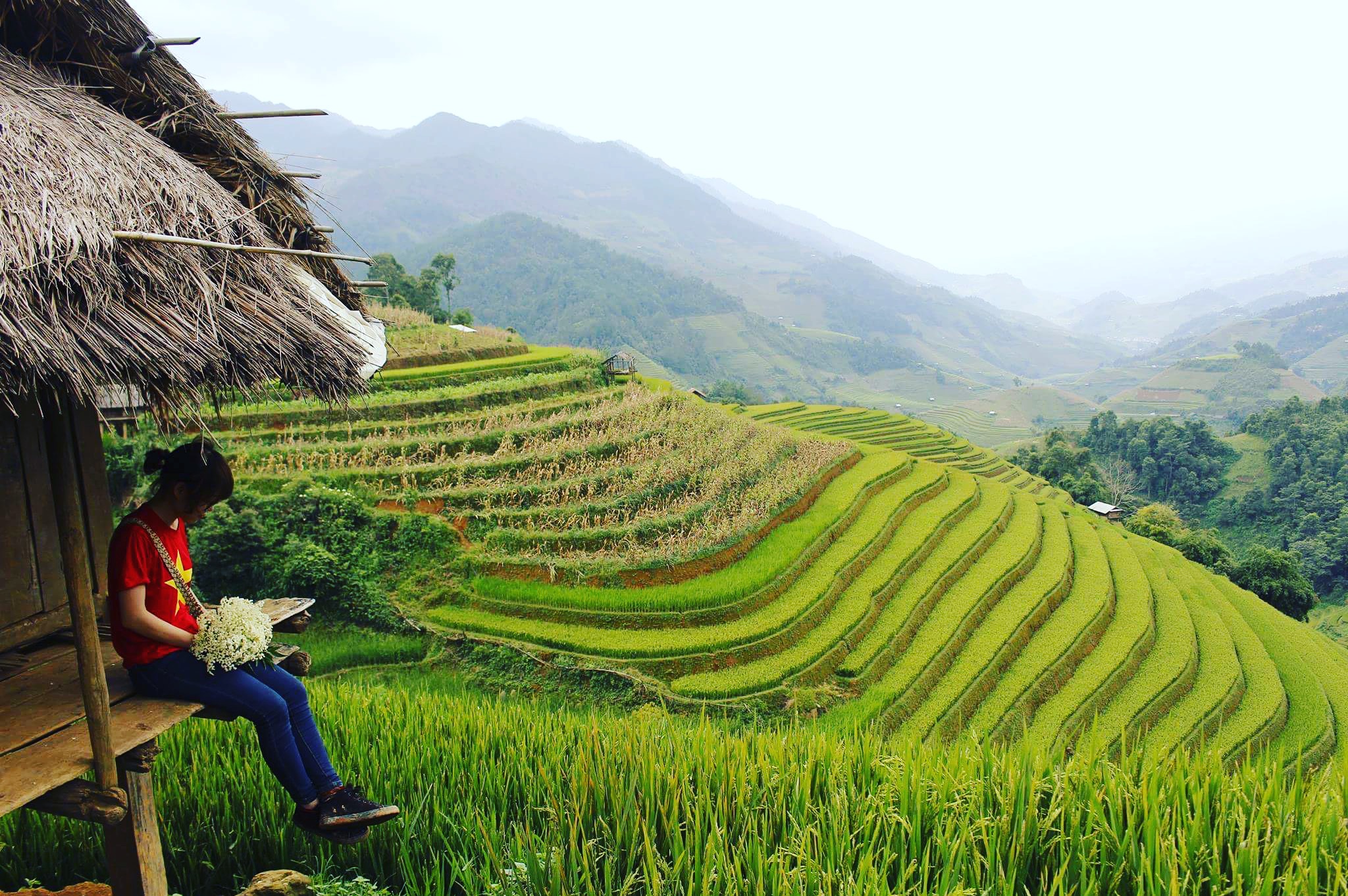 Chỉ 500.000 đồng cho chuyến du lịch M&ugrave; Cang Chải m&ugrave;a thu