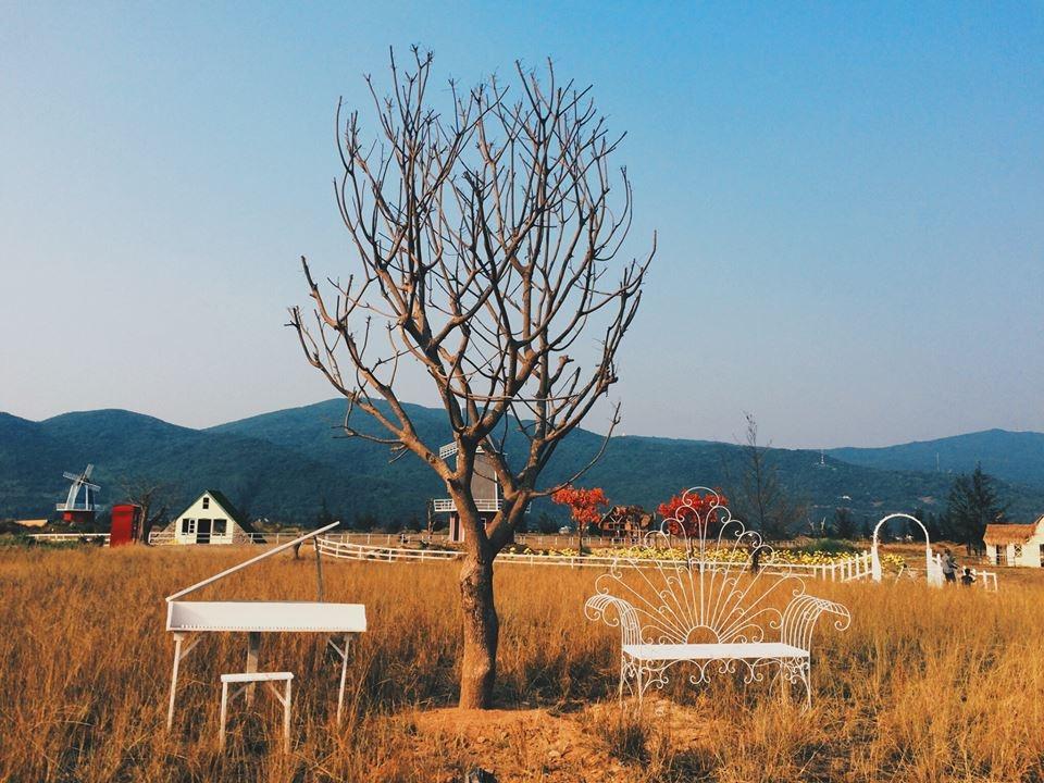 &lsquo;xứ sở thần ti&ecirc;n&rsquo; - phim trường chụp ảnh cưới tại Đ&agrave; Nẵng 